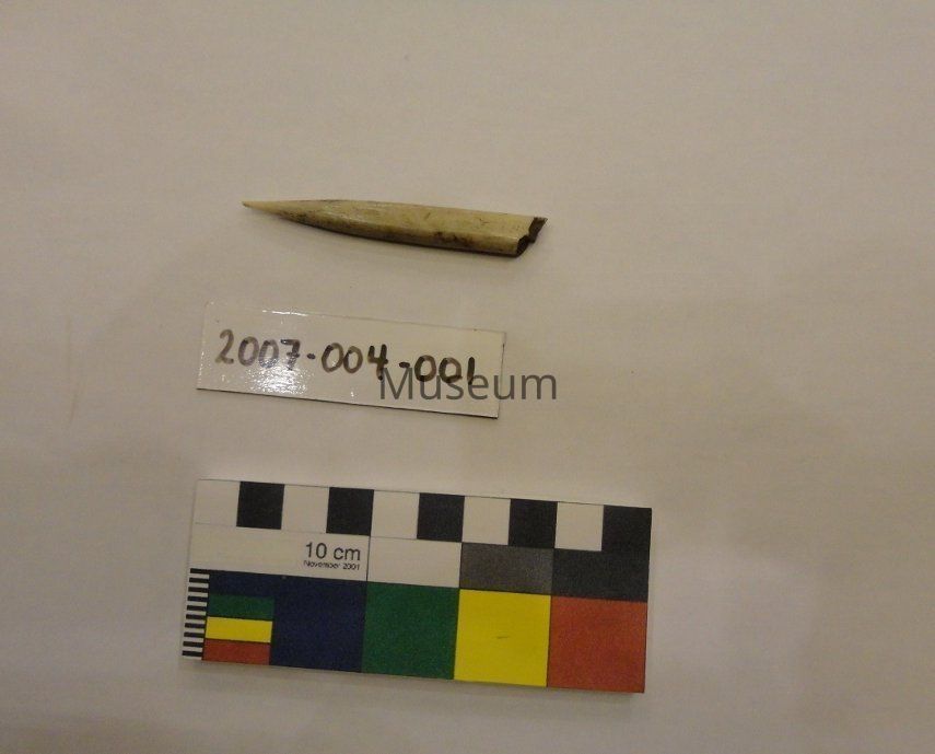 Indigenous History Collection