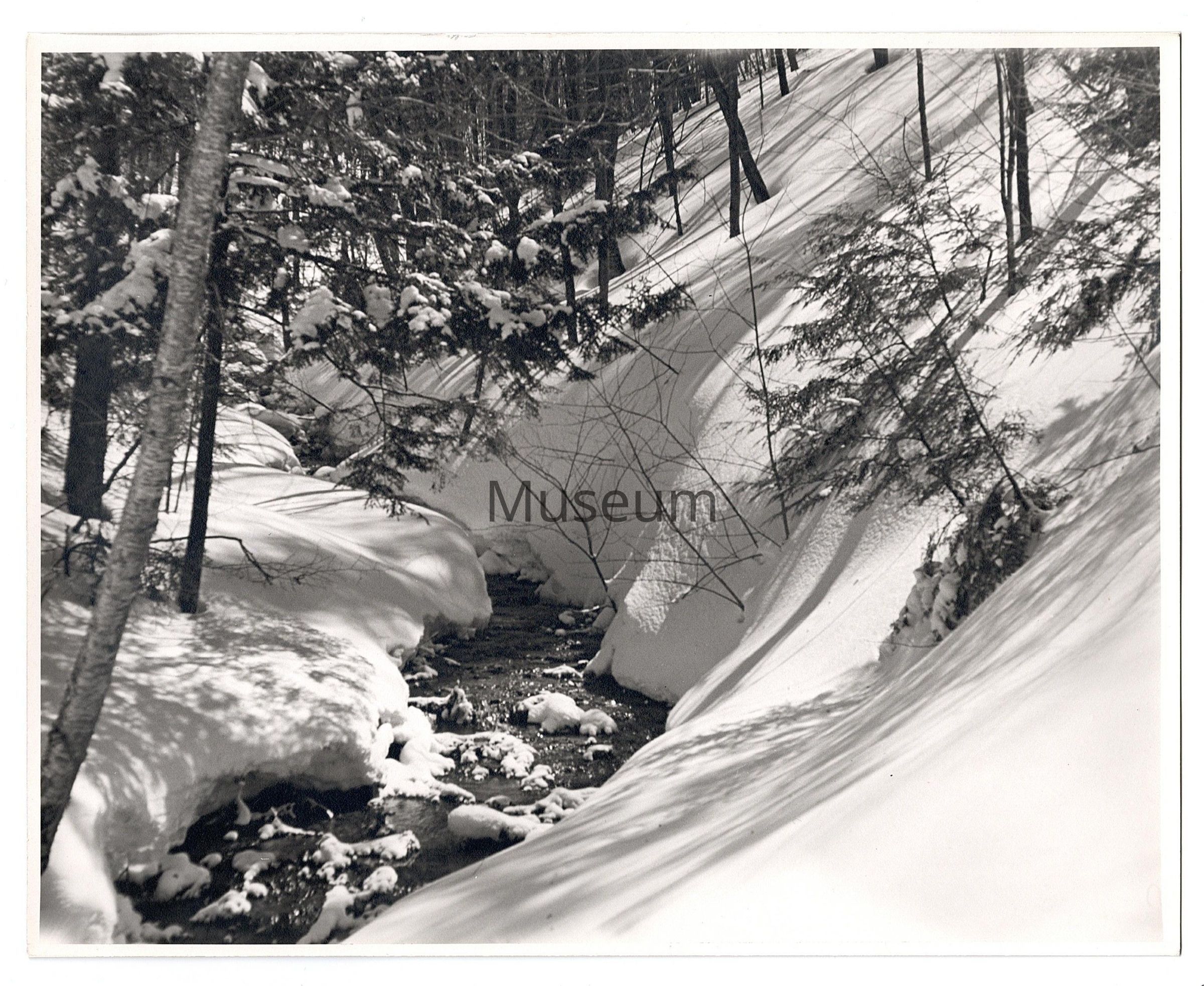 Stream Between Schuss + Kandahar: Black and white photograph of the stream that can be found between the Kandahar and Schuss hill on the aptly named “North” section of Blue Mountain Ski Resort. The photo features the stream in the center while it is flanked by two snow covered banks with a sparse covering of trees on either side.