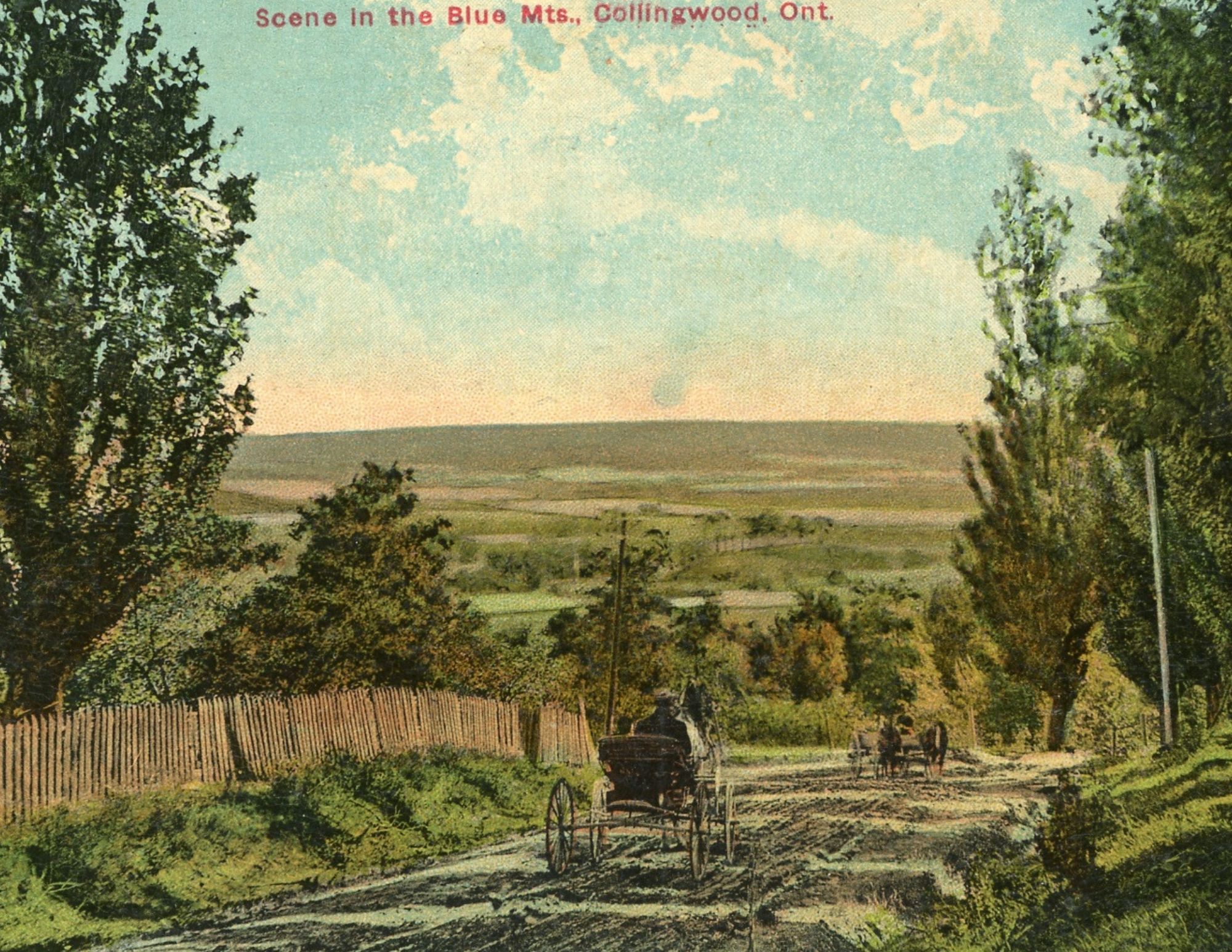 The Blue Mountains Museum and Archive hero image