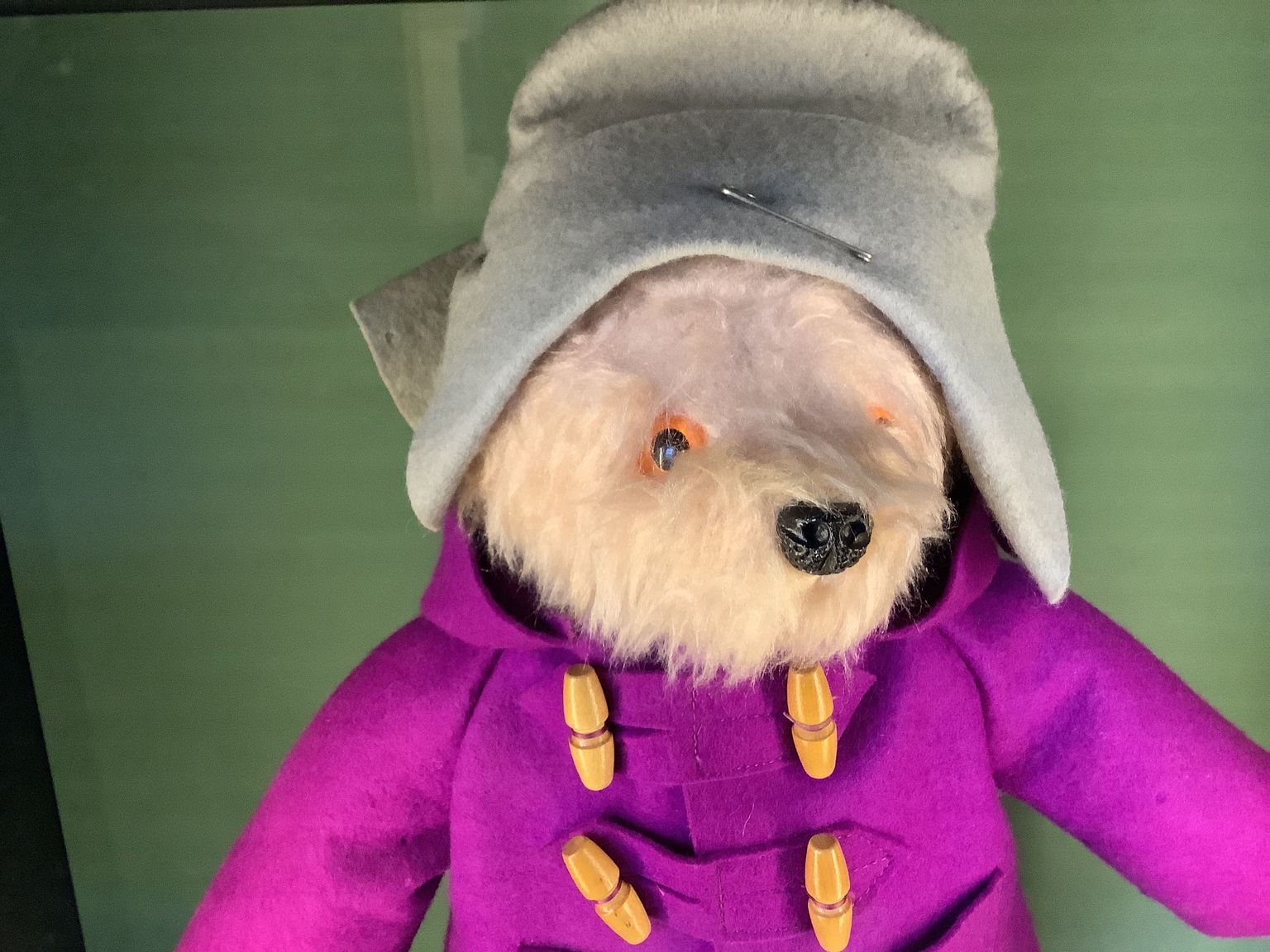 A Bear Called Paddington