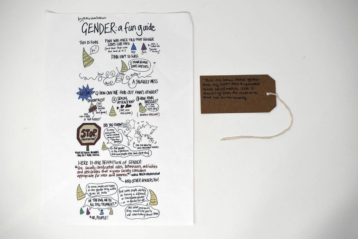 A cartoon entitled "GENDER: a fun guide". It explains concepts of gender using images and text. With a brown, handwritten luggage tag.