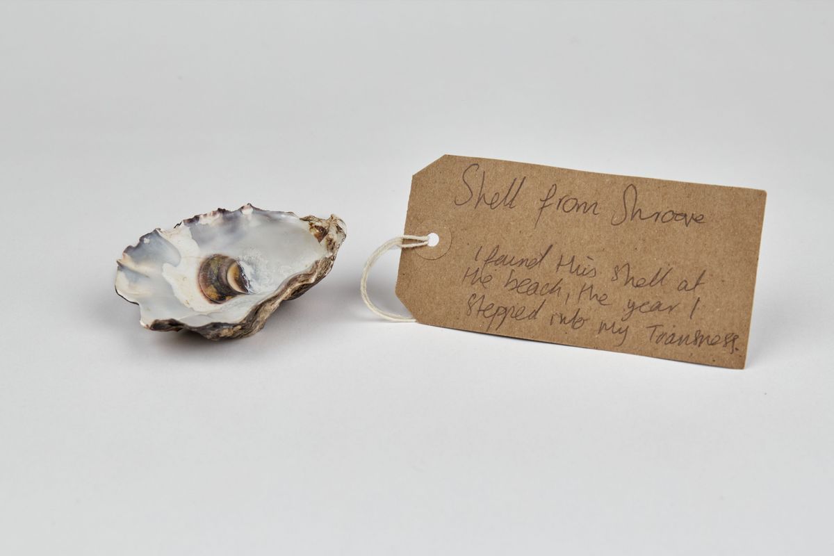 A seashell with a brown, handwritten luggage tag