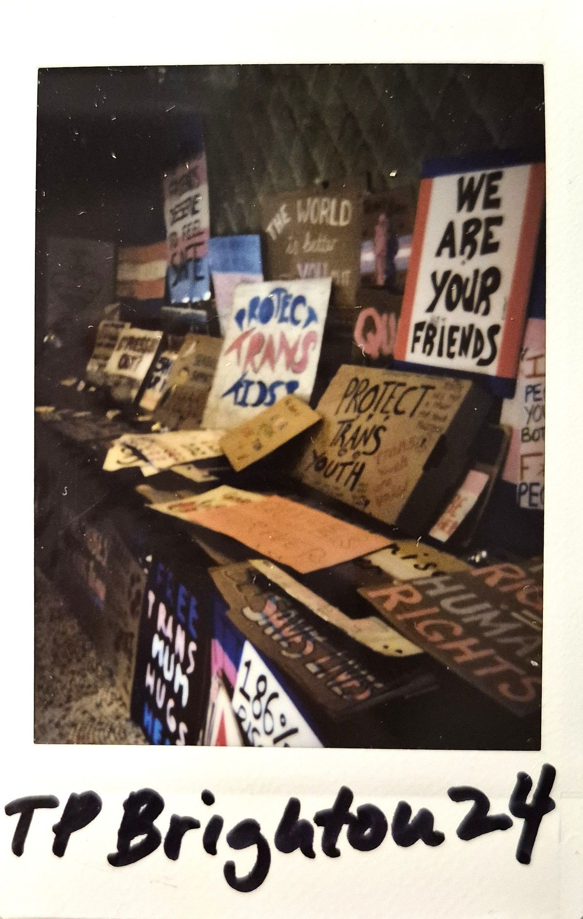 The image displays numerous protest signs supporting trans rights and advocacy for equality.