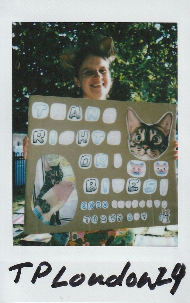 A person is holding a sign featuring cats and the message "Trans Rights or Bites" in colorful font.