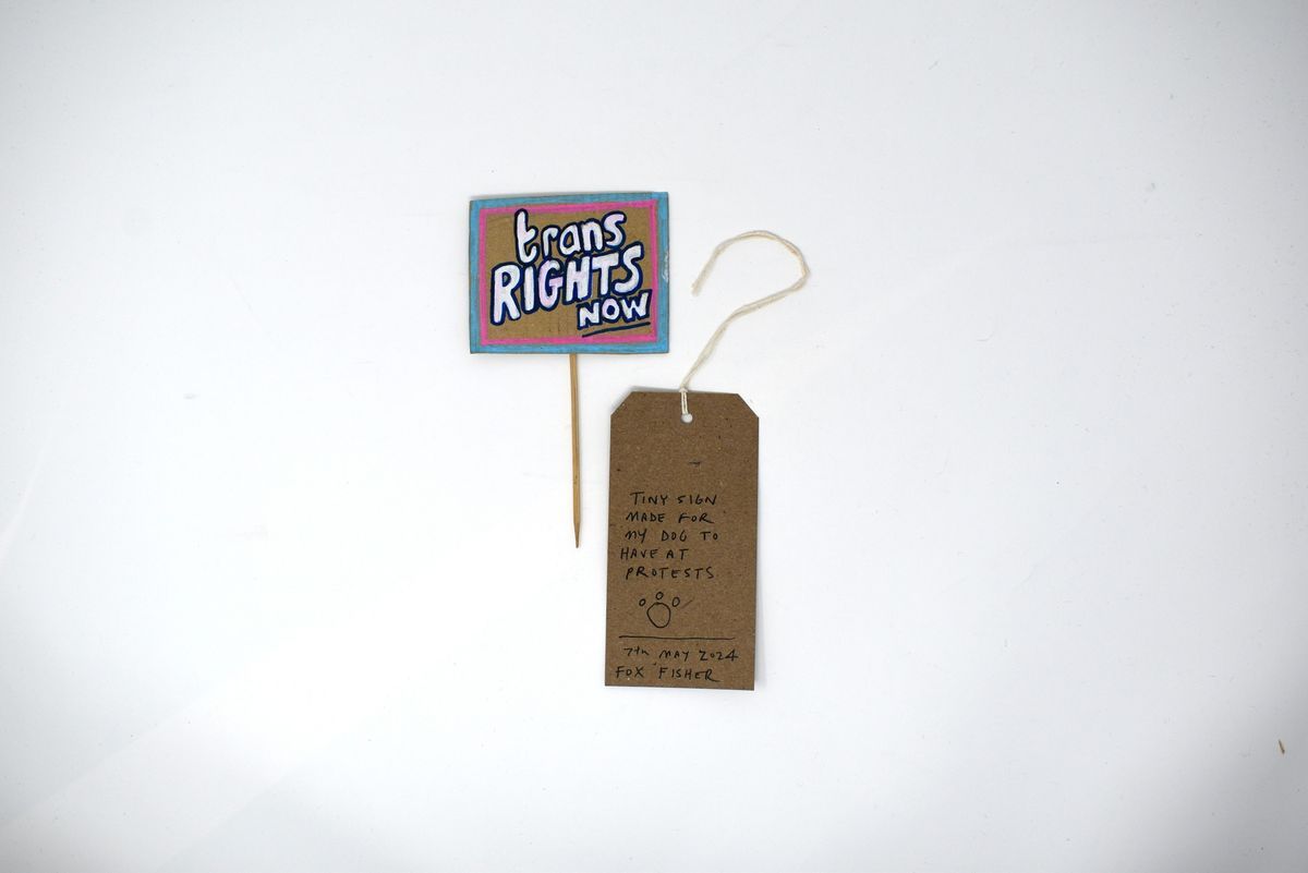 The image displays a small protest sign reading "Trans Rights Now" with a brown tag.