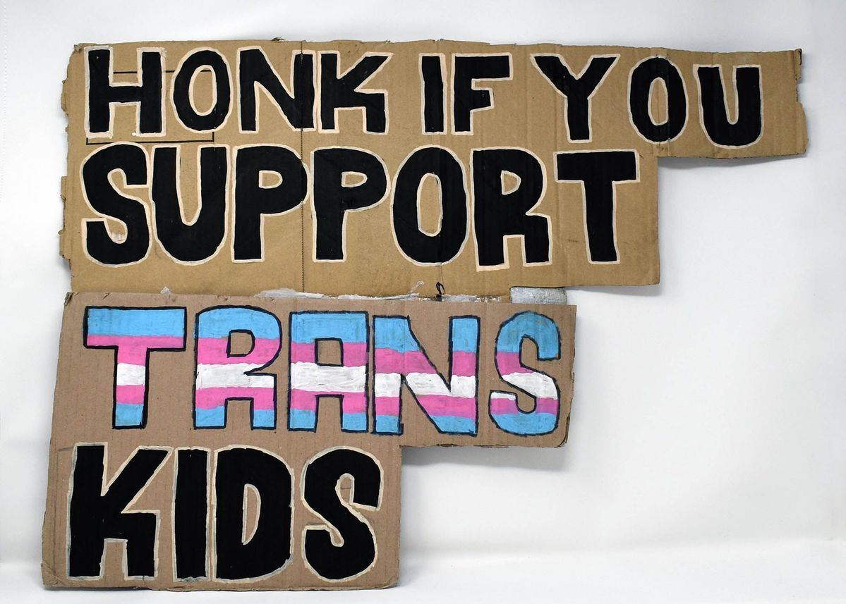 A hand painted cardboard placard, made from two pieces of card stuck together. Features the text "HONK IF YOU SUPPORT TRANS KIDS" in black, with "TRANS" colored blue, pink and white.