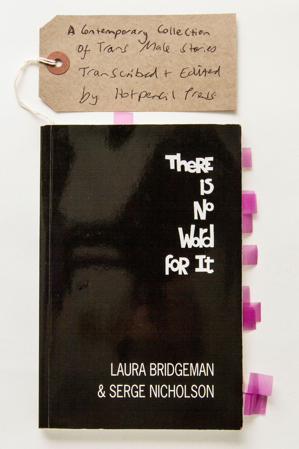 Paperback book entitled "There Is No Word For It". Authors Laura Bridgeman & Serge Nicholson.