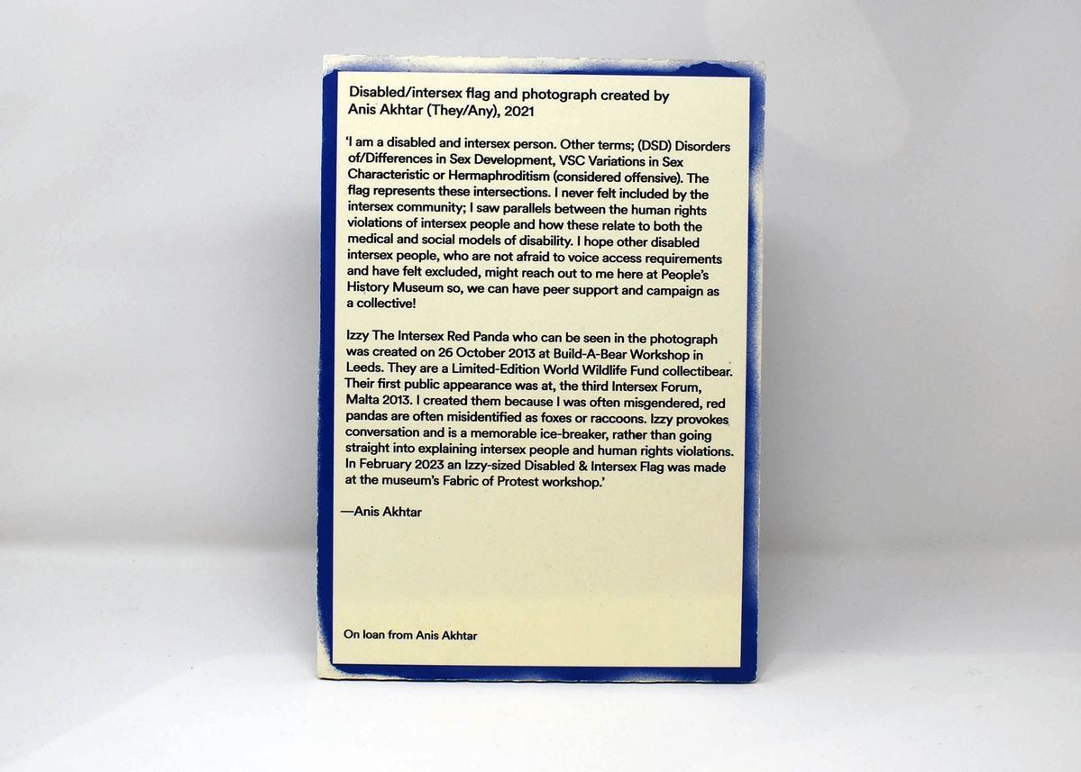An A4 text panel for the disabled and intersex flag. It has a blue border and is full of typed text.