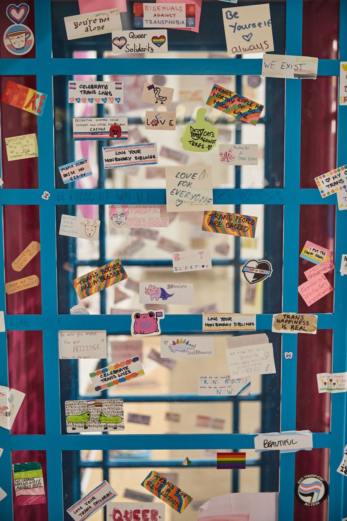 A close-up photograph of a photo booth which is painted pink and blue and is covered in stickers which are all about transgender lives, activism and phrases.