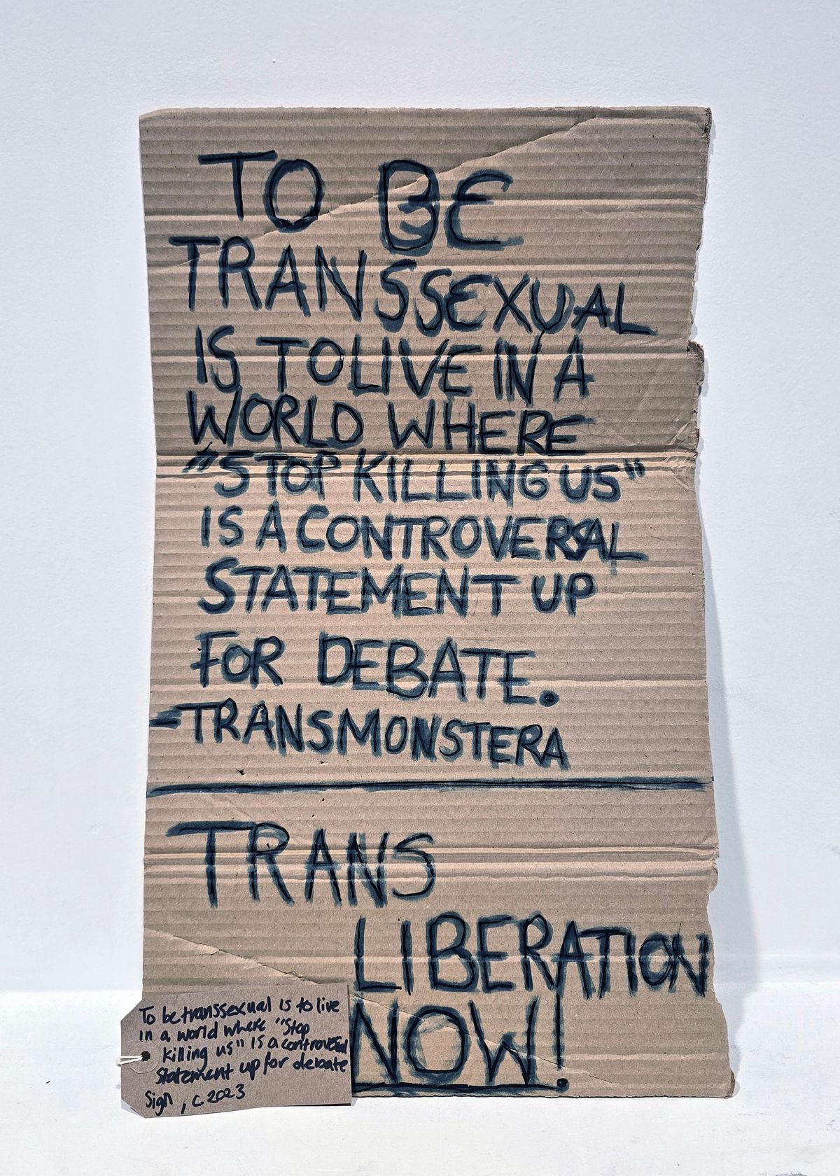 A placard which is made from cardboard and in black marker pen says 'To Be Transsexual Is To Live In A World Where "Stop Killing Us" Is A Controversal Statement Up For Debate. Trans Monstera'