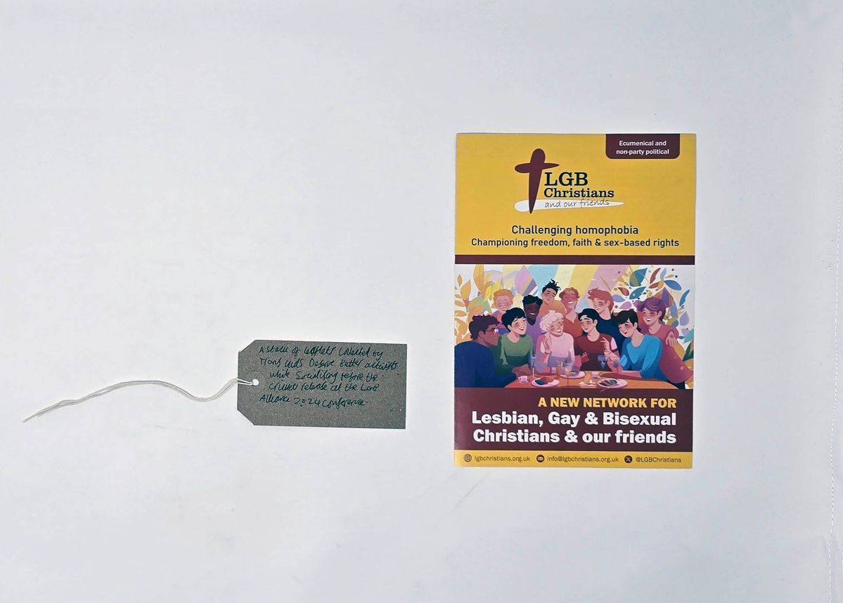 The image shows a brochure promoting LGB Christians, with the title 'Challenging Homophobia: Championing freedom, faith & sex-based rights'. There is an illustration underneath it of lots of different people smiling and talking at a table.