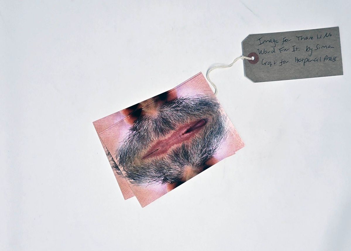 Postcard & paper label & tag; postcard - photo montage of beard/mouth "There is no word for it" in black lettering. On back "There is no word for it" The (Trans) Mangina Monologues" info re two taster shows…."