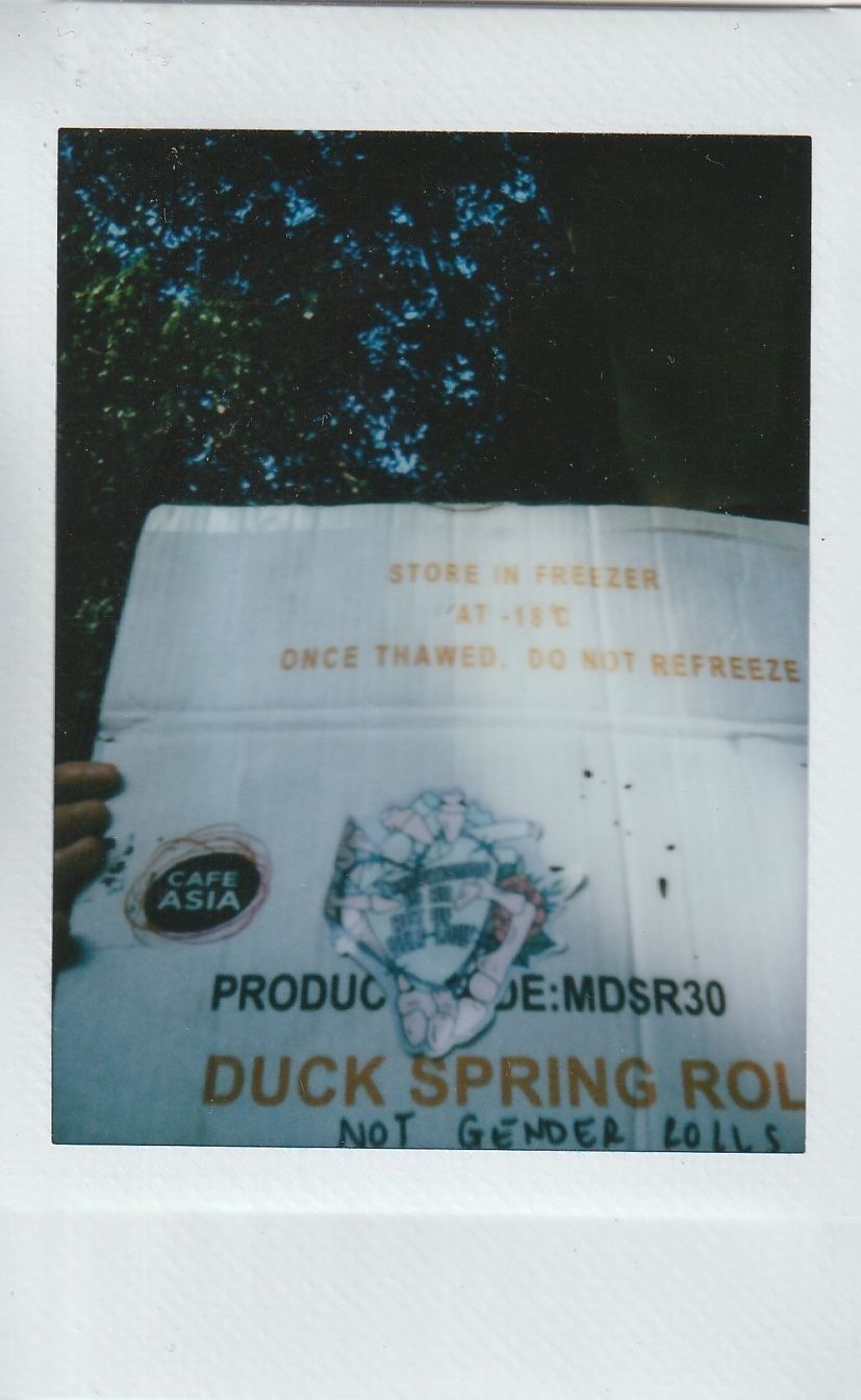 A person holds a cardboard box labeled "Duck Spring Rolls," with additional text.