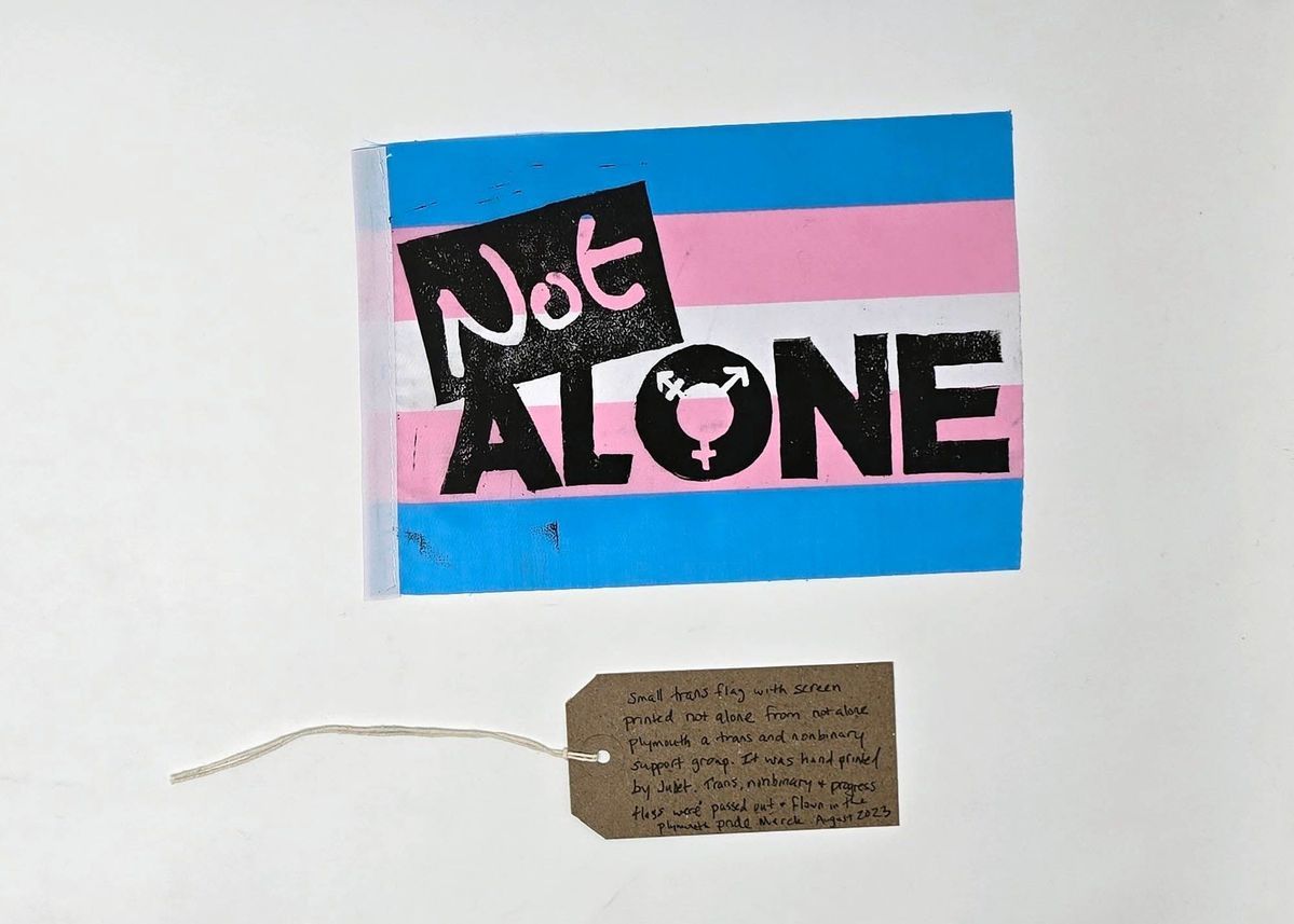 A poster with "Not Alone" text on a transgender flag background, featuring a note attached.