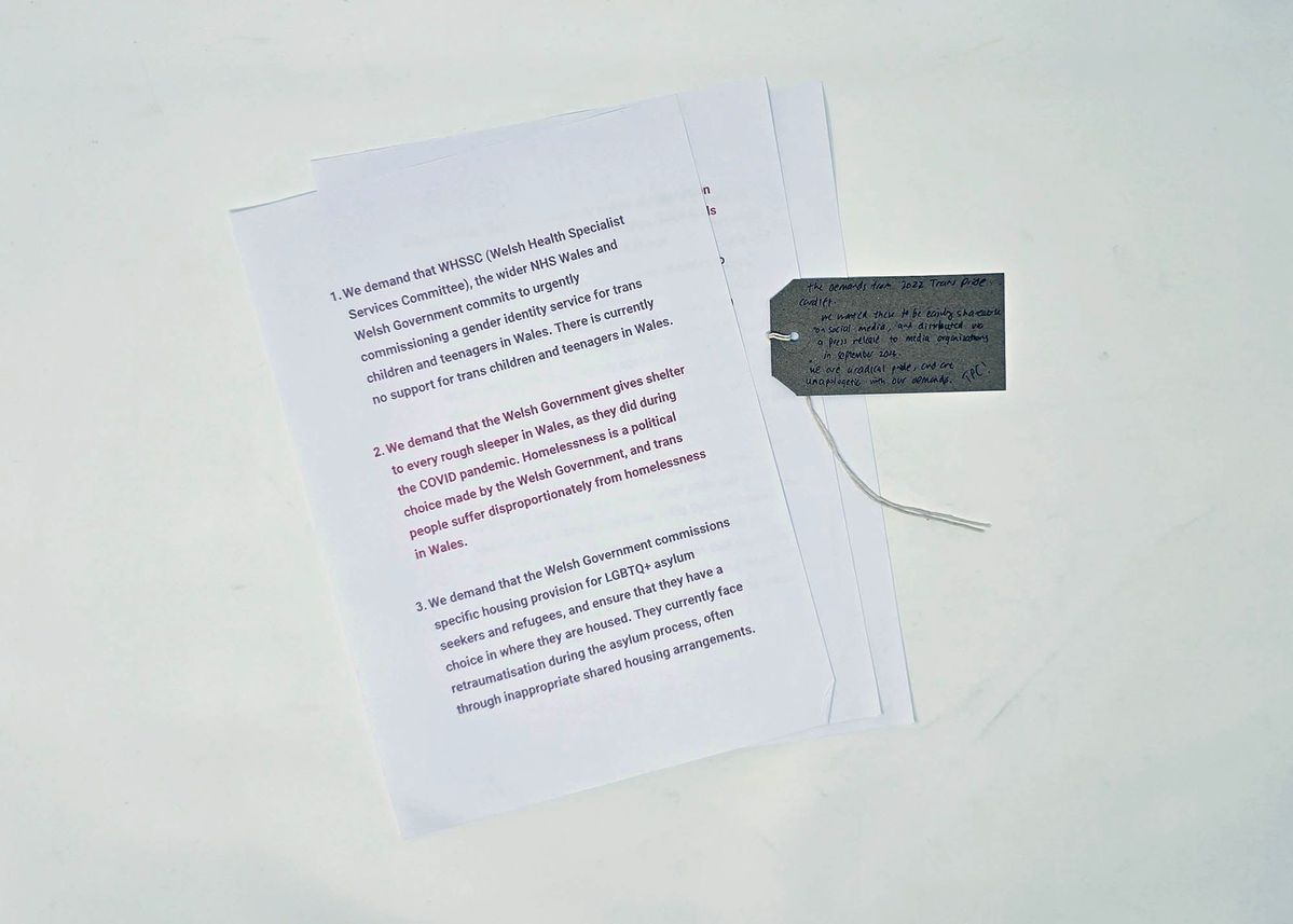 Three sheets of white A4 paper printed in red text with a list of demands to the Welsh Government and Heath Specialist Service Committee. With a brown handwritten luggage tag.
