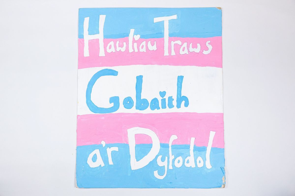 A placard which is painted in the trans flag colours of white, pink and blue and says 'Hawliau Traws Hobaith a'r Dyfodol'.