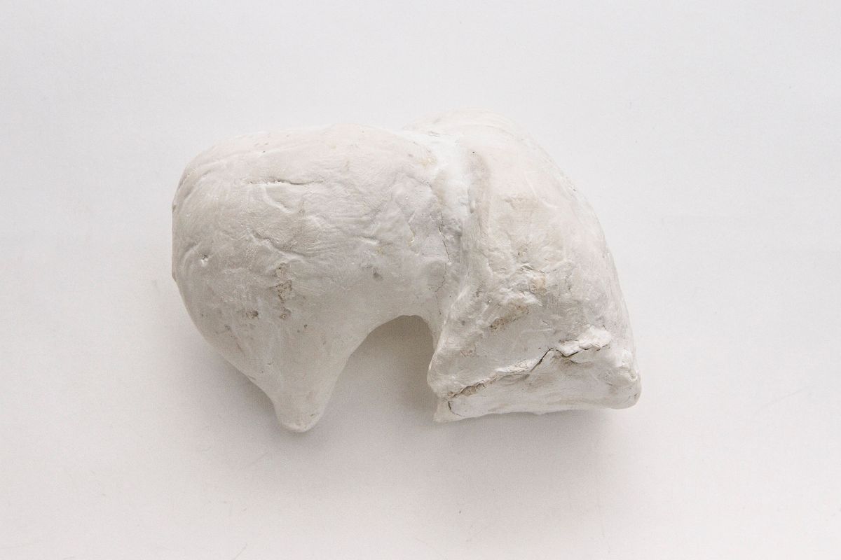 Plaster cast in one piece; white C shape with round protrusion on one side, one end curves to a point with smooth end, rough surface & edges to opposite end.