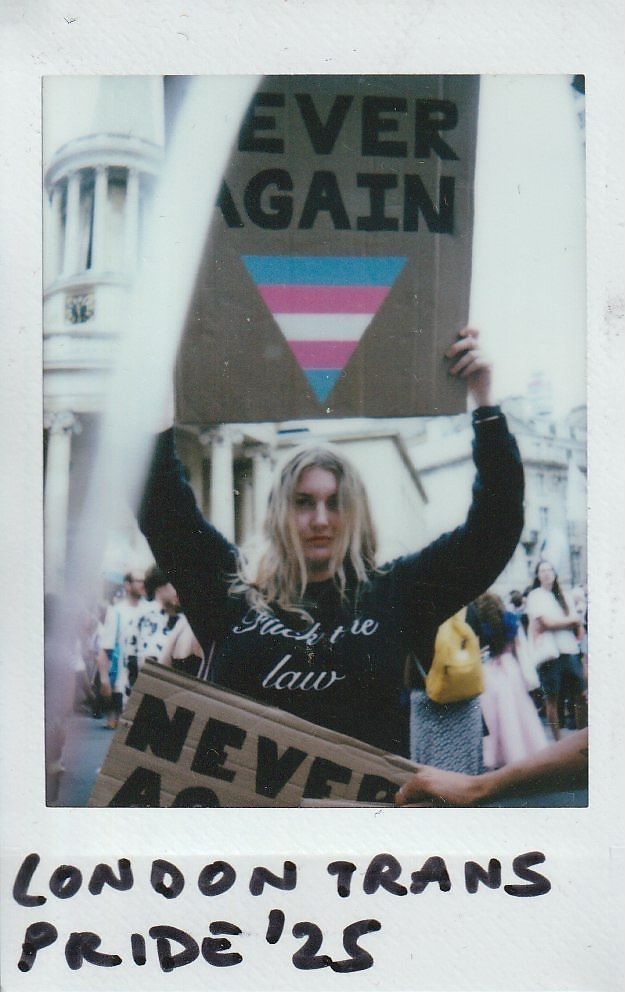 A person holds a cardboard sign which says "Never Again" with an upside-down triangle painted in trans flag colours.