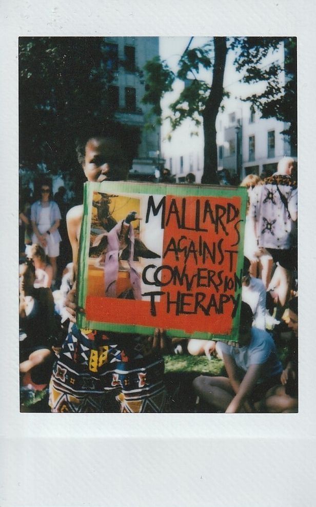A person holds a colorful sign reading "Mallards Against Conversion Therapy" at an outdoor event.