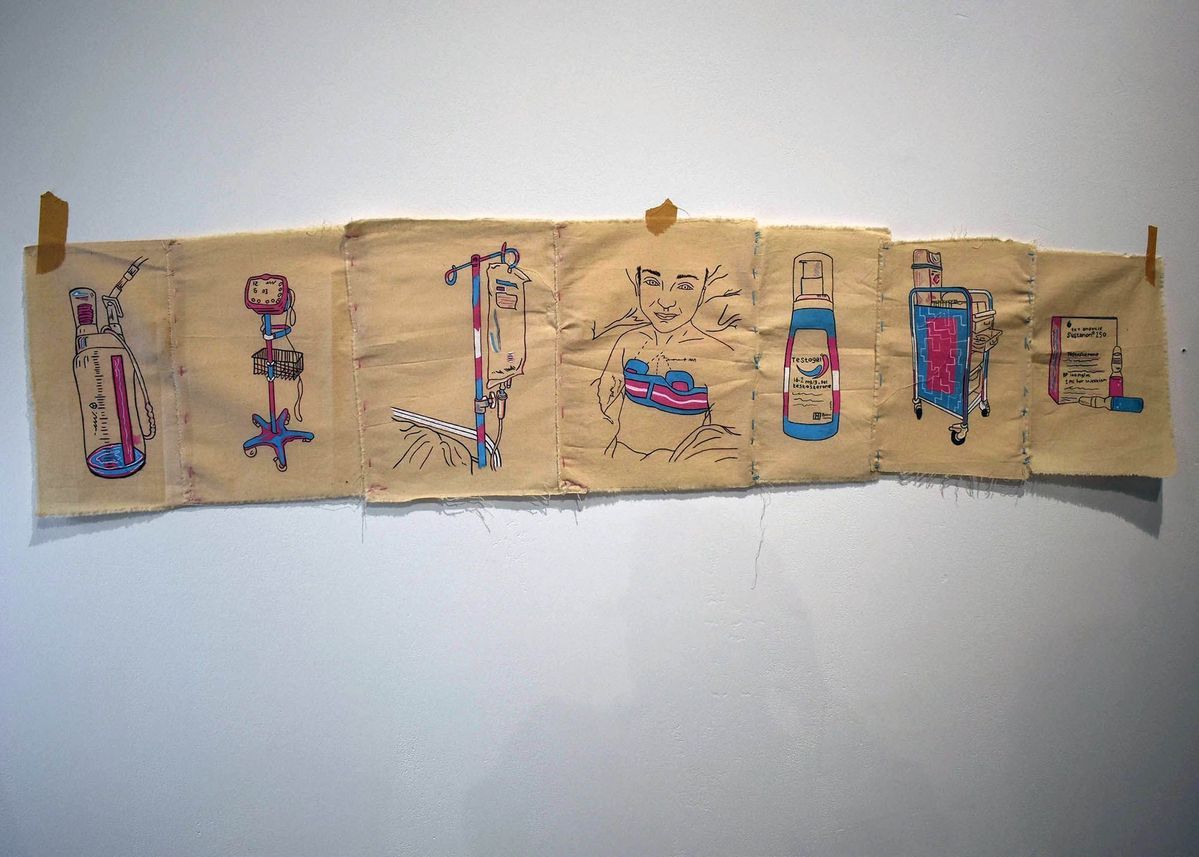 A series of 7 drawings, on 7 rectangular pieces of calico stitched together in a line,  depicting various medical aspects of transition. Drawings are black line drawings partially coloured in with the trans pride colours.