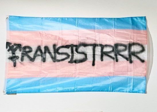 Blue, pink and white trans flag with black text spraypainted across the middle; text reads "TRANSISTRRR", with the first T replaced with a gender arrow symbol.