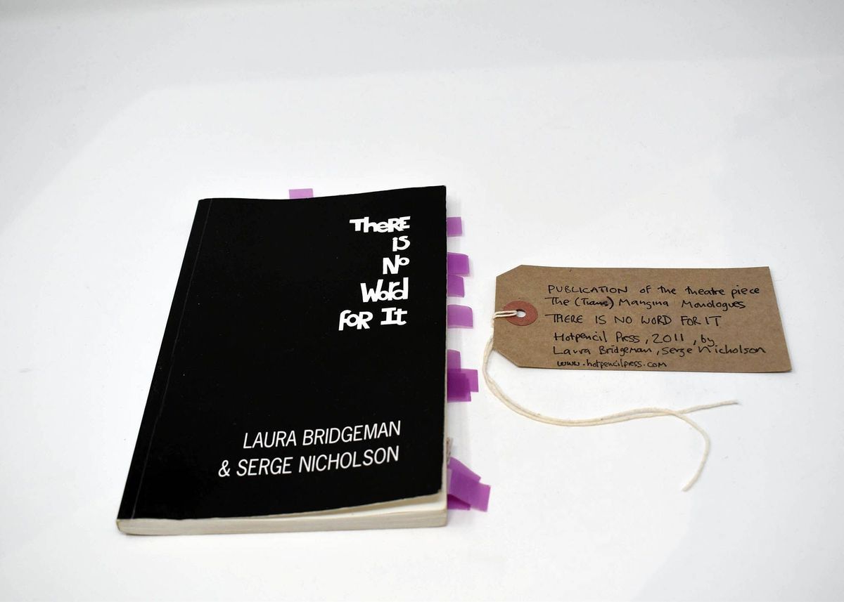 The front cover of the book "There is no word for it" by Laura Bridgeman & Serge Nicholson. The cover is black with the title and authors' names written in white block letters.