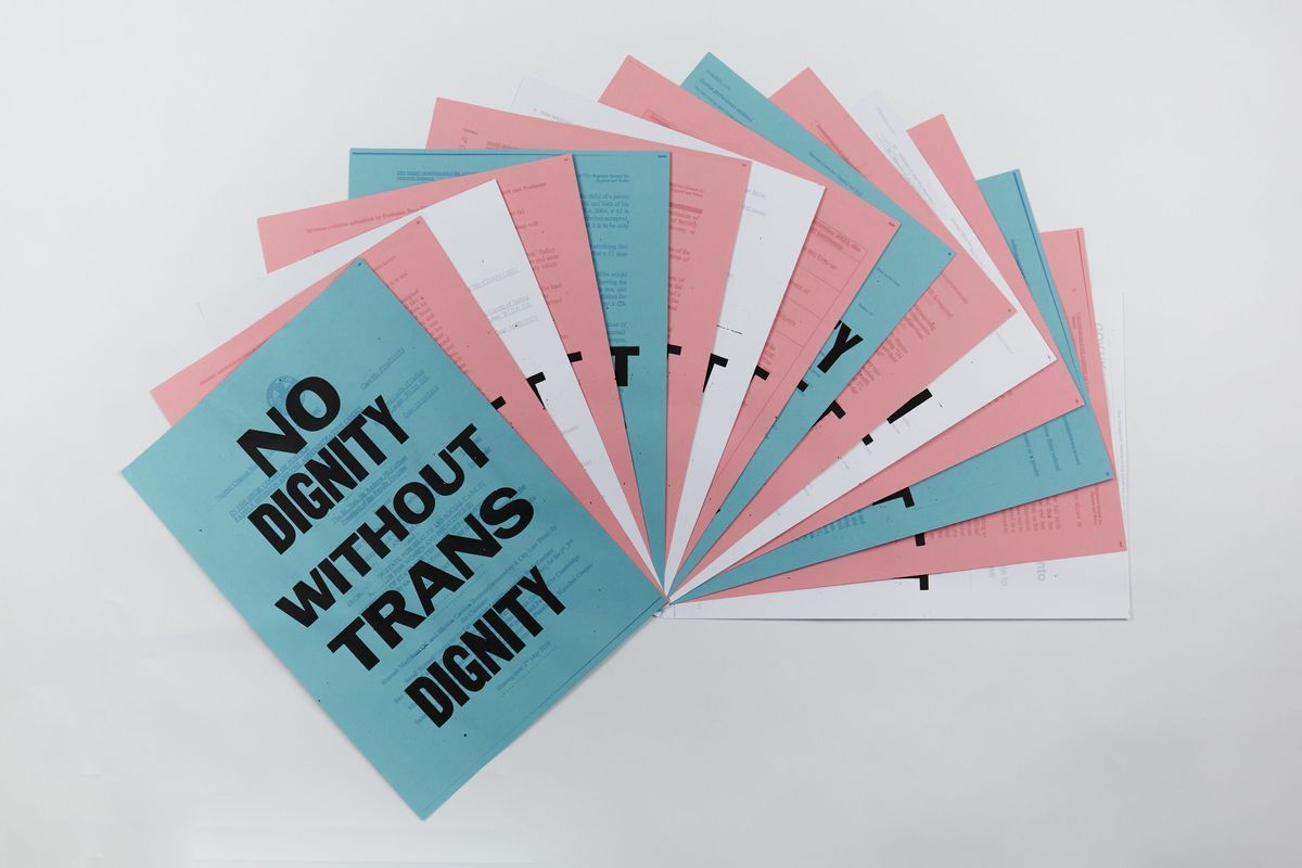 A set of blue, pink and white posters which say different phrases. The top blue poster is visible and says "No dignity without trans dignity" in black text.