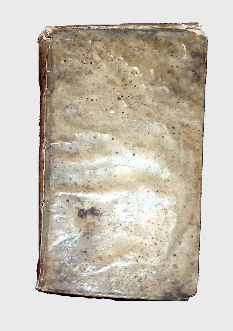 The Six First Books of Euclid; The image shows an old, weathered book with a discolored and stained cover, giving it a vintage appearance; the surface is marked with various spots and creases, hinting at its age and the exposure to environmental conditions over time.