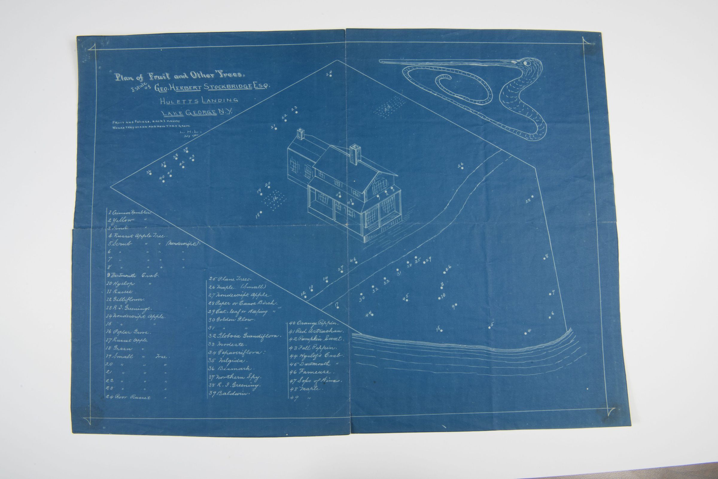 Blueprint of Fruit and Other Trees for Geo. Herbert Stockbridge, Esq. picture number 1