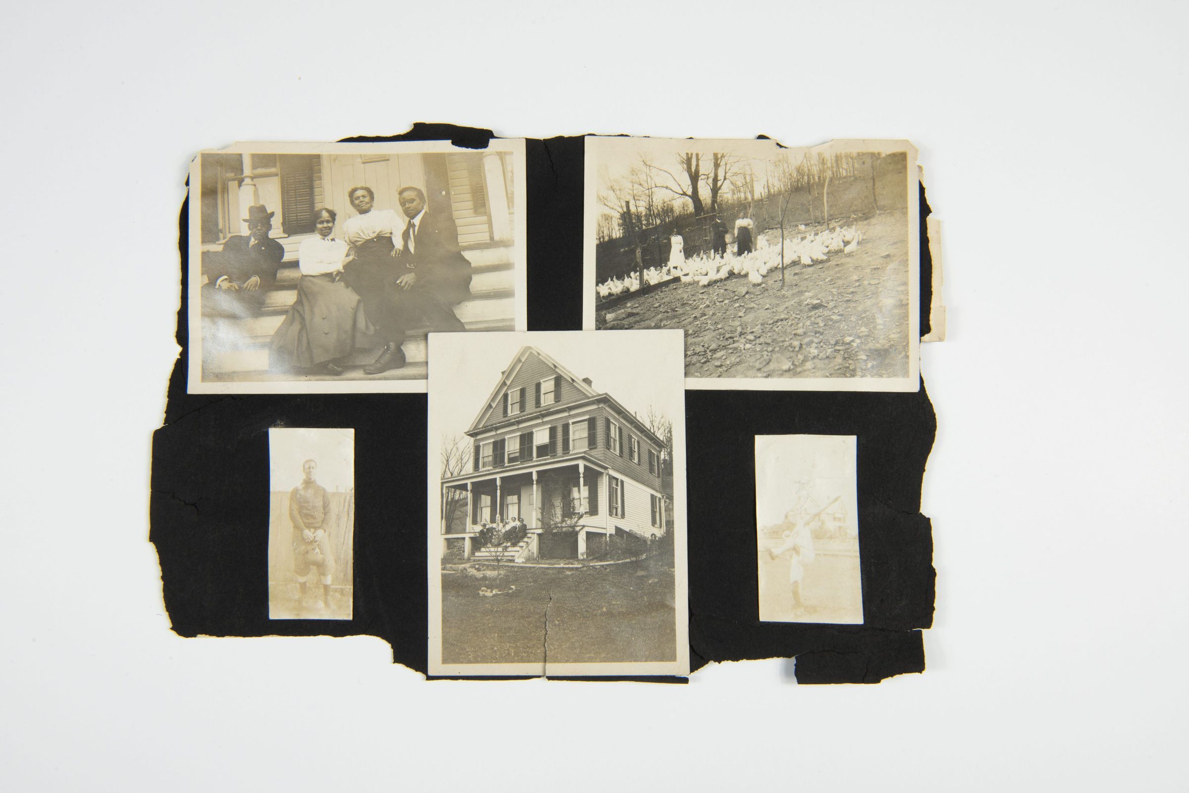 Collage of Latimer Family Life and Homestead picture number 1