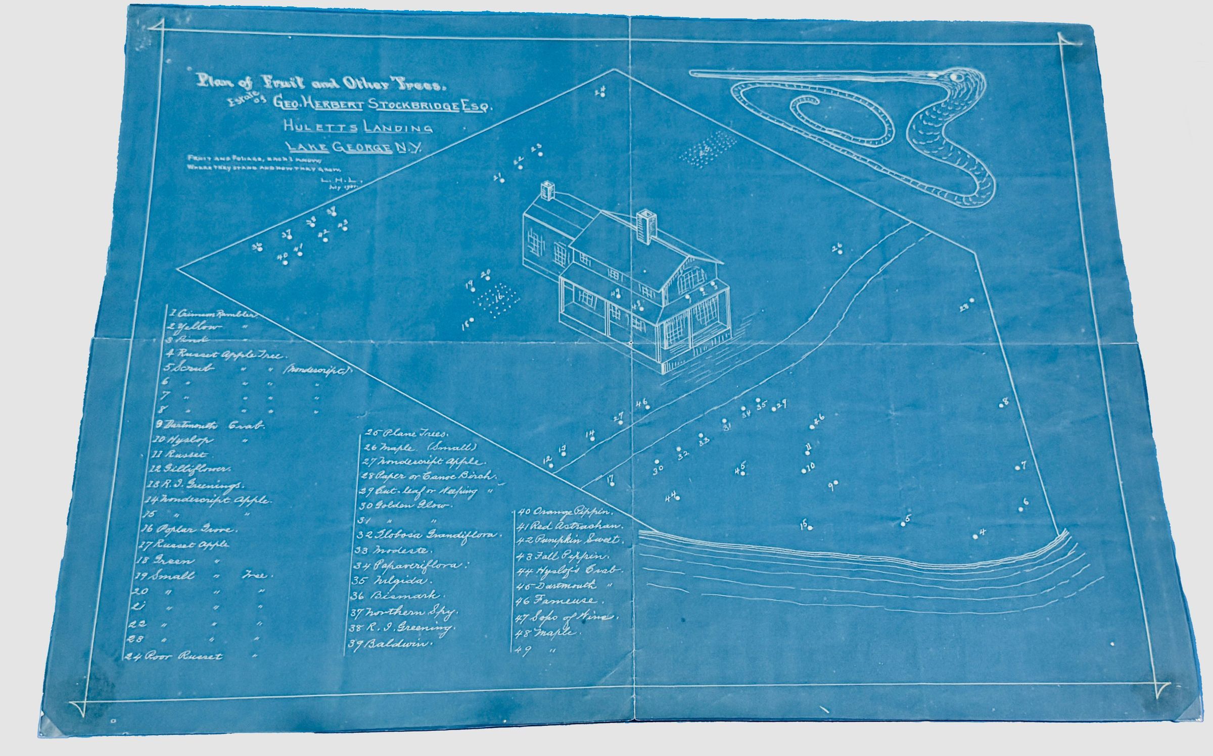 Blueprint, Plan of Fruit and Other Trees, Estate of Geo. Herbert Stockbridge Esq., Hulettes Landing, Lake George N.Y., Lewis H. Latimer, July 1901. Queens Borough Public Library.
Latimer made this drawing for a private client to map his plantings in upstate New York. Even here he included a poetic couplet: