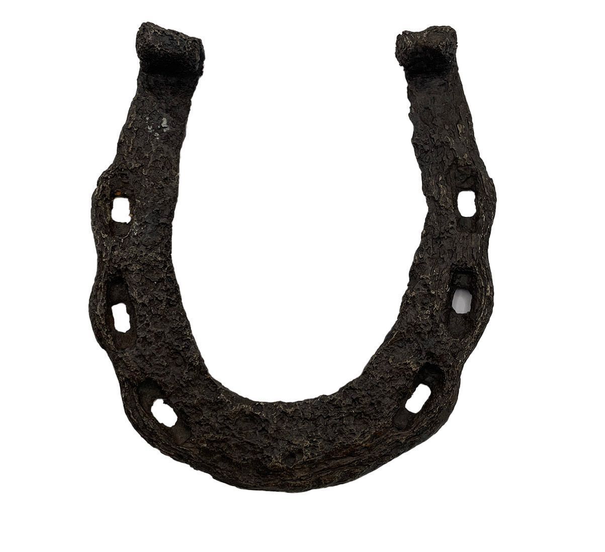 Equine & Bovine