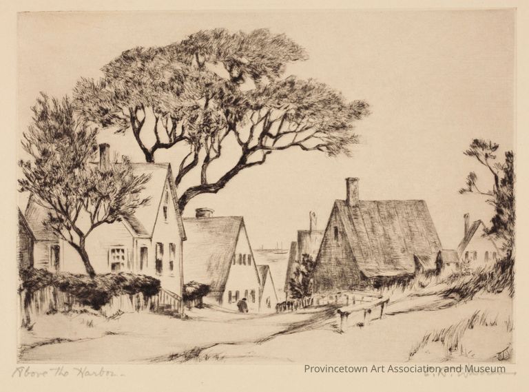 Houses, harbor in background