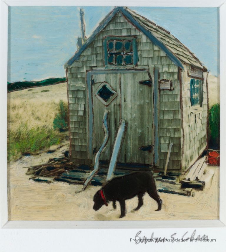 Black dog in front of wooden shack in dunes