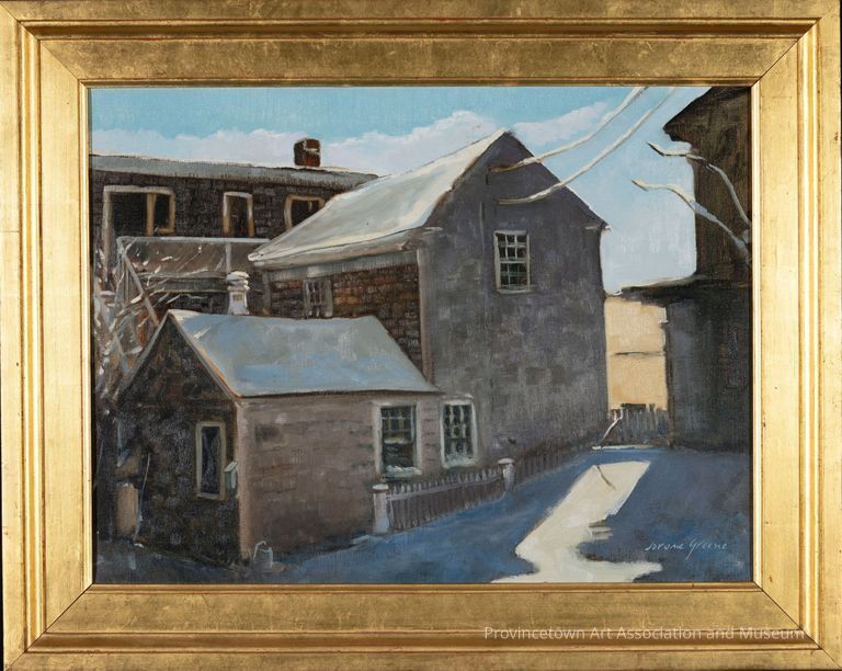 Gray and brown buildings in beach landscape with snow