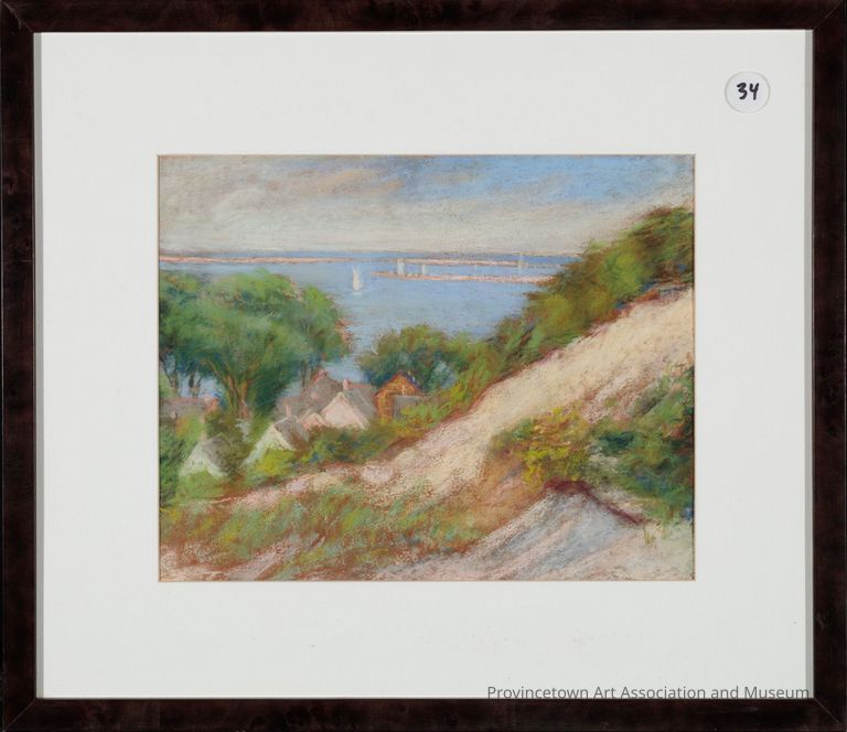 Provincetown from the Sand Dunes
