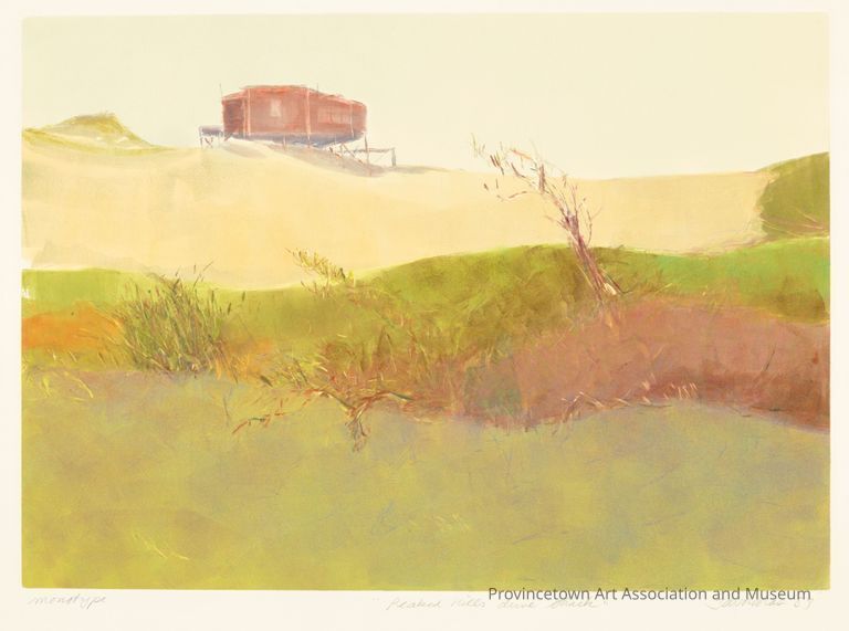 Dune landscape with wooden shack on pilings in the background