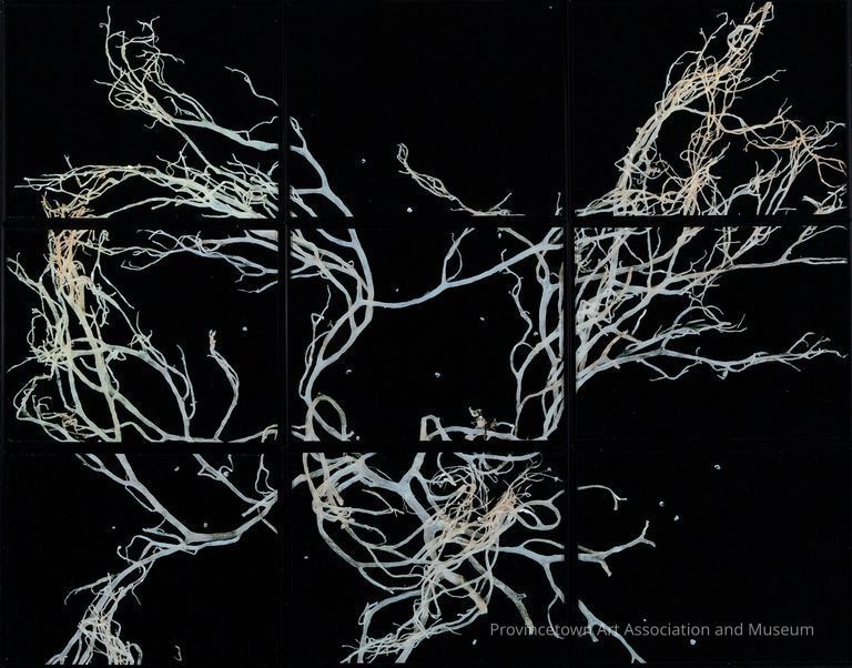 White tendrils (seaweed?) on black background, spots/stars in background, evocative of galaxy shape