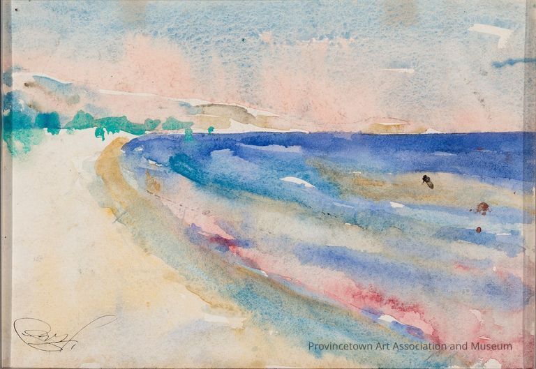 Brushy coastline beach