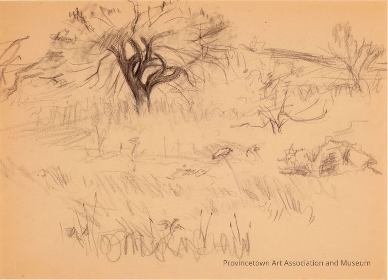 Untitled (Study of Field with Trees)