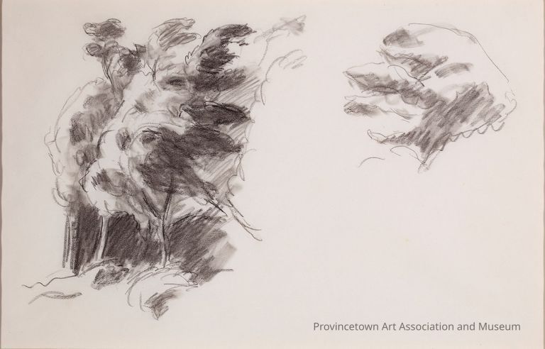 Untitled (Study of Group of Trees at Left, Single Tree Top at Right)