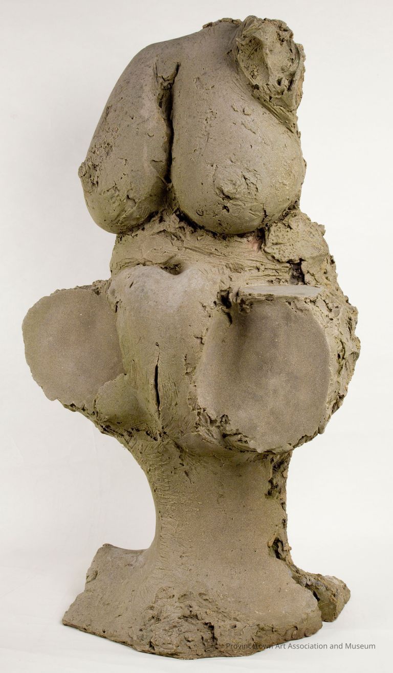 Woman's torso, no arms or legs