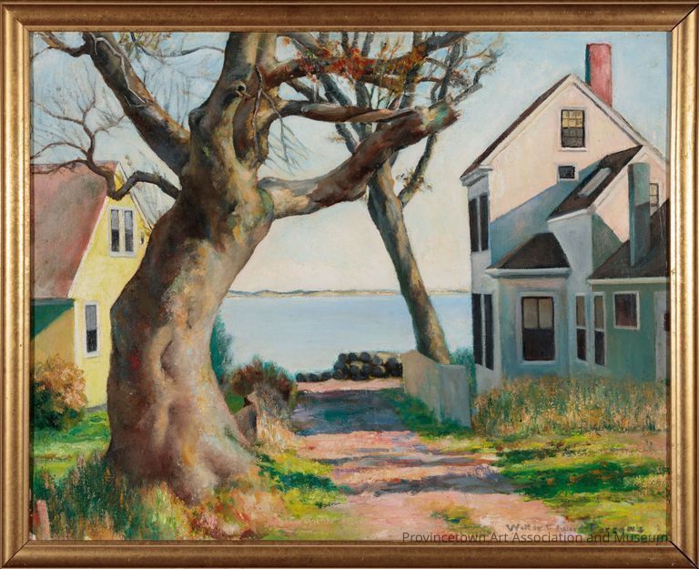 A large tree stands between two houses near a serene shoreline, under a clear blue sky.