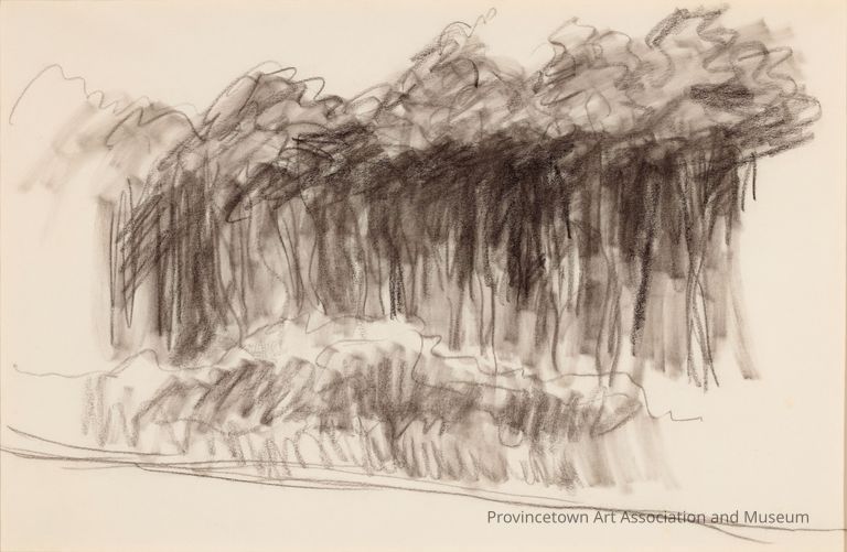 Untitled (Study of Dense Forest)