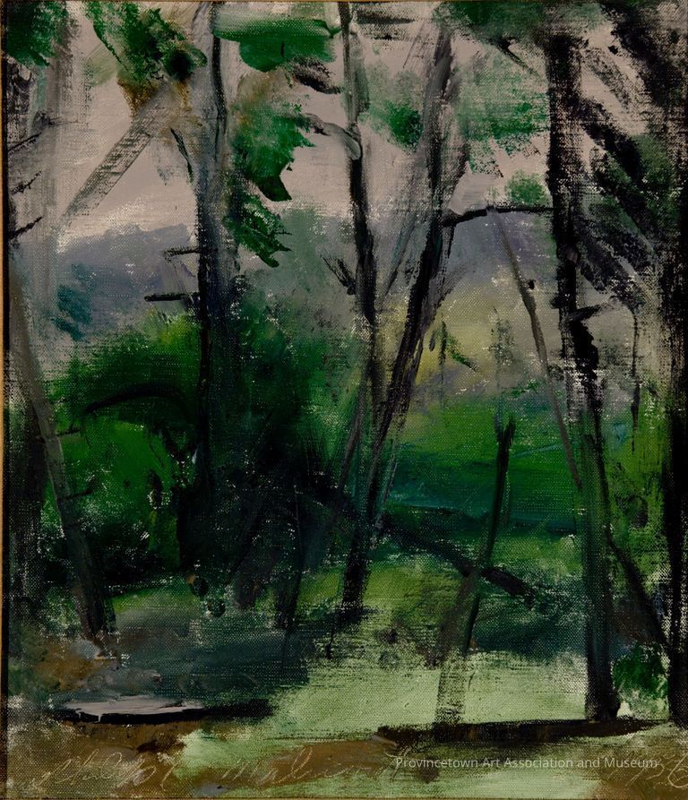 Trees in dark forest