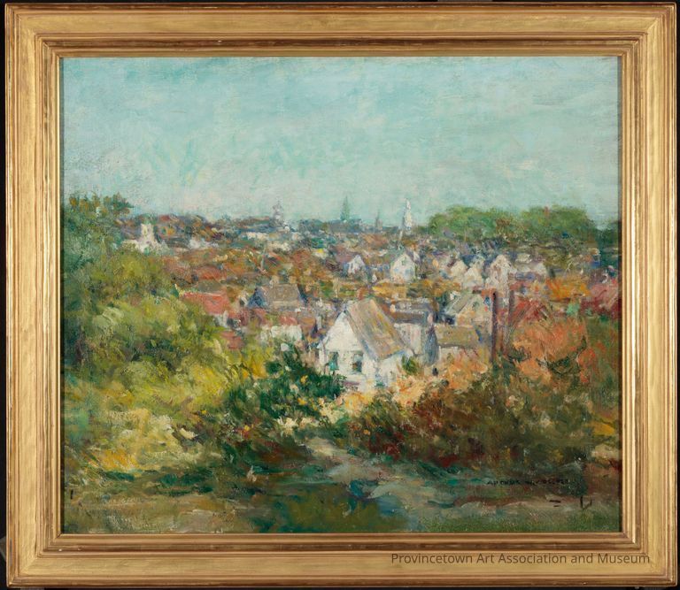 Provincetown Roofs