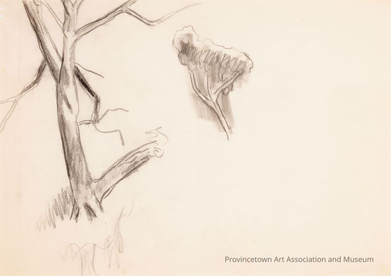 Untitled (Study of Bare Tree Trunk at Left, Tree With Foliage at Right)