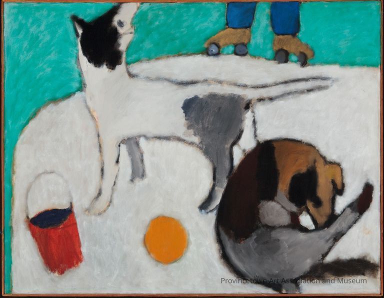 Two dogs, red bucket and yellow ball, lets with roller skates