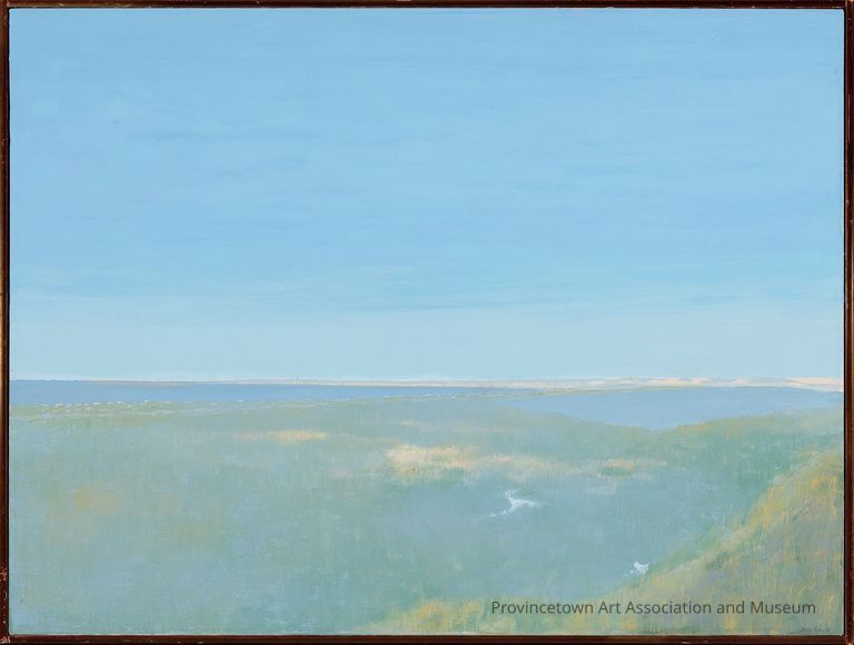 View of Truro and Provincetown harbor from High Head