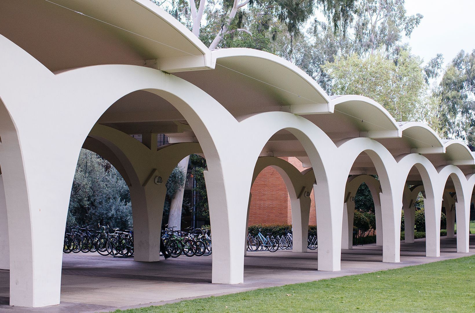 UCR Library hero image